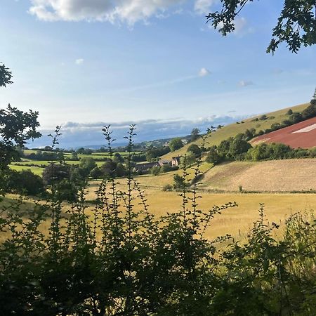 Countryside Converted Barn With Hot Tub Newton Abbot Buitenkant foto