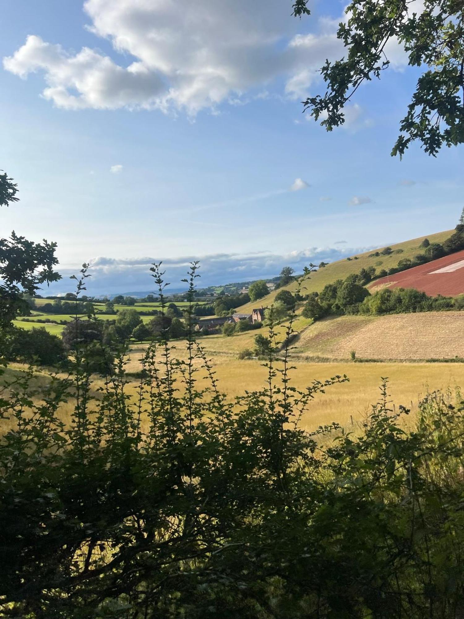 Countryside Converted Barn With Hot Tub Newton Abbot Buitenkant foto